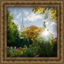 Load image into Gallery viewer, Jordan River Brightness and Glory
