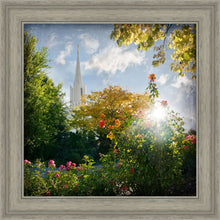 Load image into Gallery viewer, Jordan River Brightness and Glory
