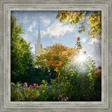 Load image into Gallery viewer, Jordan River Brightness and Glory
