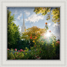 Load image into Gallery viewer, Jordan River Brightness and Glory
