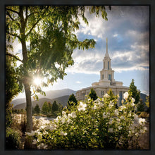 Load image into Gallery viewer, Payson Brightness and Glory
