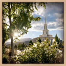 Load image into Gallery viewer, Payson Brightness and Glory
