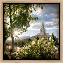 Load image into Gallery viewer, Payson Brightness and Glory
