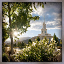 Load image into Gallery viewer, Payson Brightness and Glory
