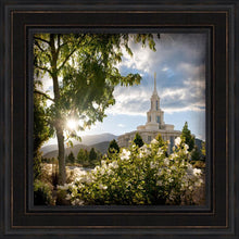 Load image into Gallery viewer, Payson Brightness and Glory
