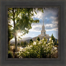 Load image into Gallery viewer, Payson Brightness and Glory
