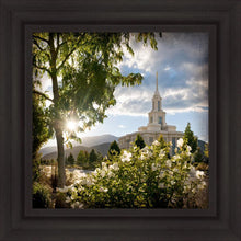 Load image into Gallery viewer, Payson Brightness and Glory
