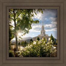 Load image into Gallery viewer, Payson Brightness and Glory

