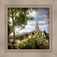 Load image into Gallery viewer, Payson Brightness and Glory
