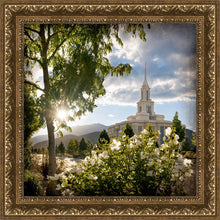 Load image into Gallery viewer, Payson Brightness and Glory
