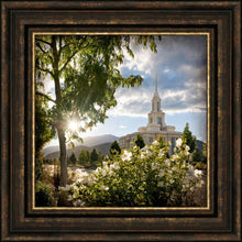 Load image into Gallery viewer, Payson Brightness and Glory
