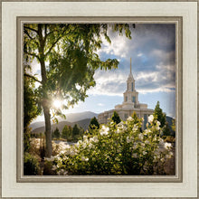 Load image into Gallery viewer, Payson Brightness and Glory
