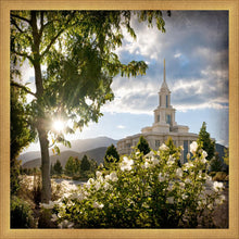 Load image into Gallery viewer, Payson Brightness and Glory
