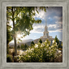 Load image into Gallery viewer, Payson Brightness and Glory
