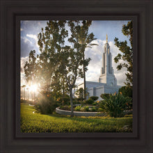 Load image into Gallery viewer, Redlands Brightness and Glory
