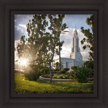 Load image into Gallery viewer, Redlands Brightness and Glory
