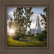 Load image into Gallery viewer, Redlands Brightness and Glory
