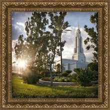 Load image into Gallery viewer, Redlands Brightness and Glory
