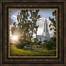 Load image into Gallery viewer, Redlands Brightness and Glory
