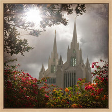 Load image into Gallery viewer, San Diego Brightness and Glory

