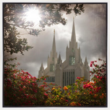 Load image into Gallery viewer, San Diego Brightness and Glory
