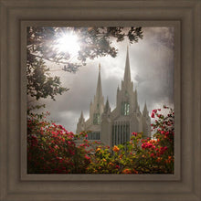 Load image into Gallery viewer, San Diego Brightness and Glory
