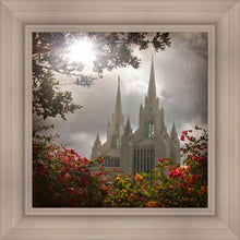 Load image into Gallery viewer, San Diego Brightness and Glory
