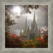 Load image into Gallery viewer, San Diego Brightness and Glory
