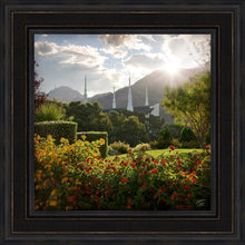Load image into Gallery viewer, Las Vegas Brightness and Glory
