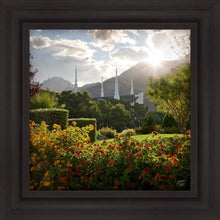 Load image into Gallery viewer, Las Vegas Brightness and Glory
