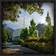 Load image into Gallery viewer, Provo Brightness and Glory
