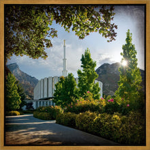 Load image into Gallery viewer, Provo Brightness and Glory
