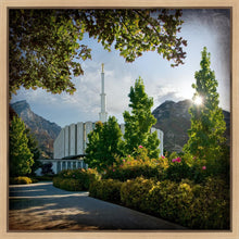 Load image into Gallery viewer, Provo Brightness and Glory
