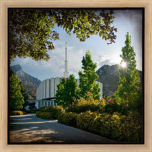 Load image into Gallery viewer, Provo Brightness and Glory
