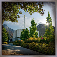 Load image into Gallery viewer, Provo Brightness and Glory
