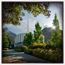Load image into Gallery viewer, Provo Brightness and Glory
