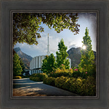 Load image into Gallery viewer, Provo Brightness and Glory
