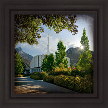 Load image into Gallery viewer, Provo Brightness and Glory
