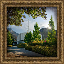 Load image into Gallery viewer, Provo Brightness and Glory
