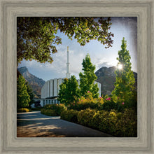 Load image into Gallery viewer, Provo Brightness and Glory
