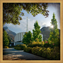Load image into Gallery viewer, Provo Brightness and Glory
