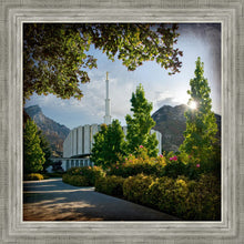 Load image into Gallery viewer, Provo Brightness and Glory
