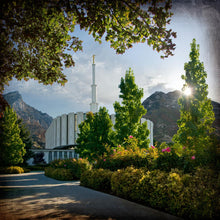 Load image into Gallery viewer, Provo Brightness and Glory
