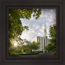 Load image into Gallery viewer, Seattle Brightness and Glory
