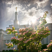 Load image into Gallery viewer, Spokane Brightness and Glory
