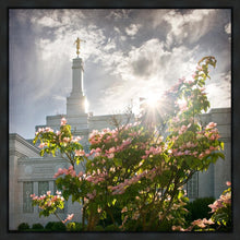 Load image into Gallery viewer, Spokane Brightness and Glory
