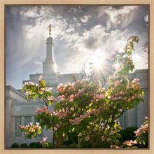 Load image into Gallery viewer, Spokane Brightness and Glory
