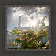 Load image into Gallery viewer, Spokane Brightness and Glory
