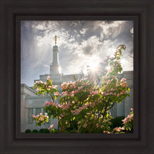 Load image into Gallery viewer, Spokane Brightness and Glory
