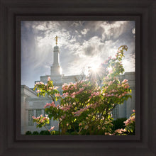 Load image into Gallery viewer, Spokane Brightness and Glory
